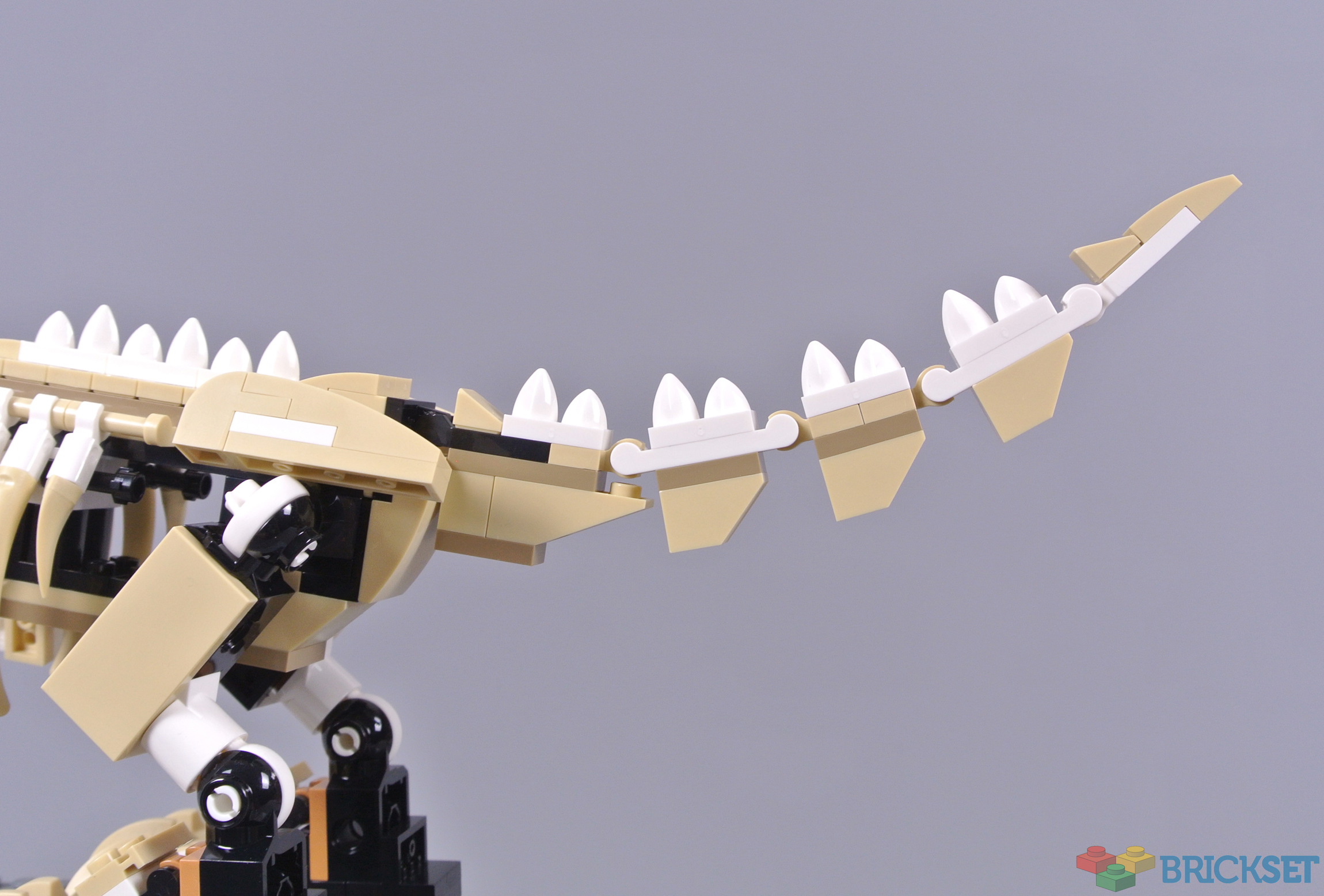 LEGO Jurassic World 76940 T. rex Dinosaur Fossil Exhibition review